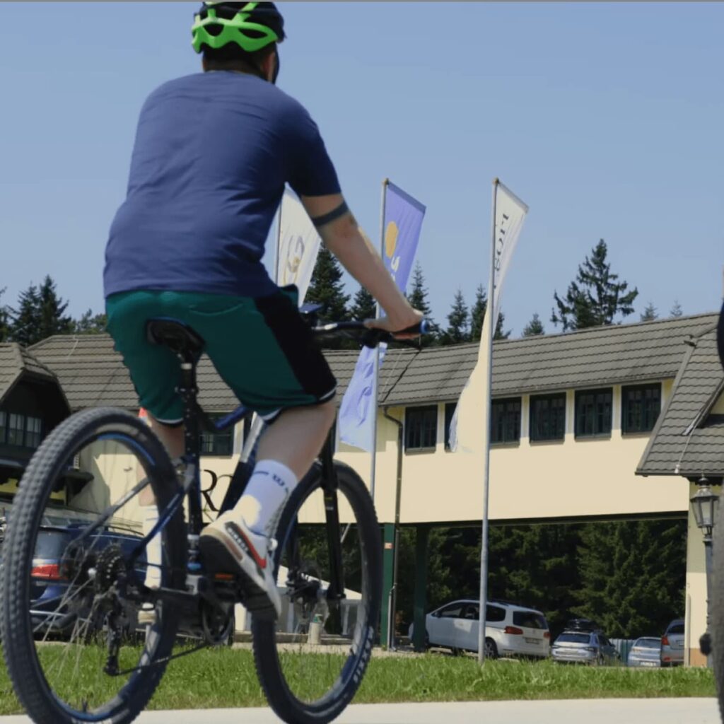 linasi bike